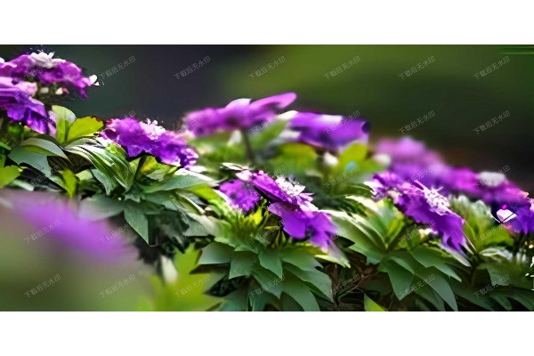 武汉街头按摩垫，一垫解千愁！