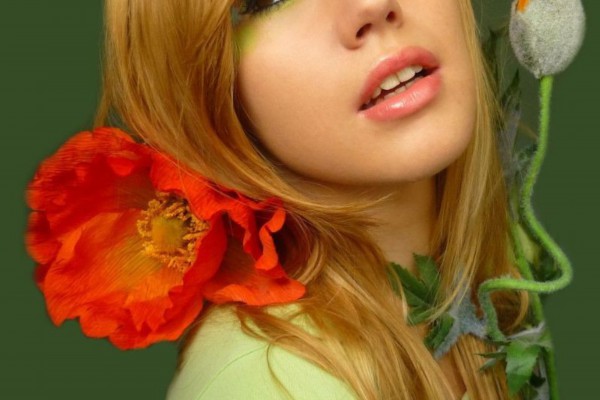 武汉养生茶馆：办公室里的茶香热线